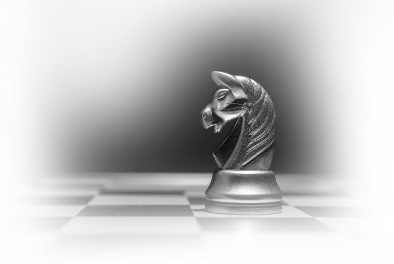 Chess knight representing strategic compliance